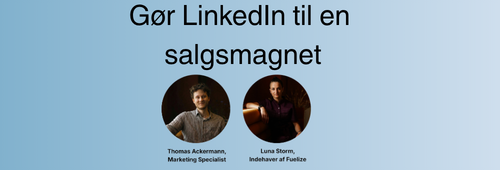 Iværksætter café - LinkedIn som salgsplatform . Luna Storm